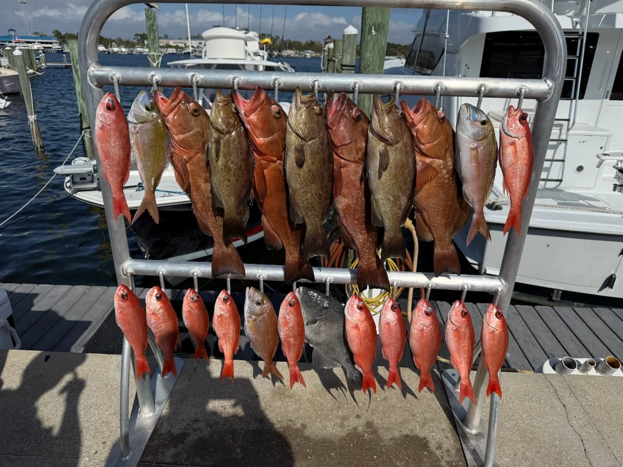 Fishing in Panama City Beach, Florida