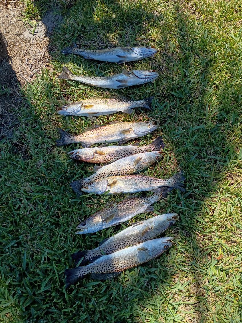 Fishing in Port Charlotte, Florida