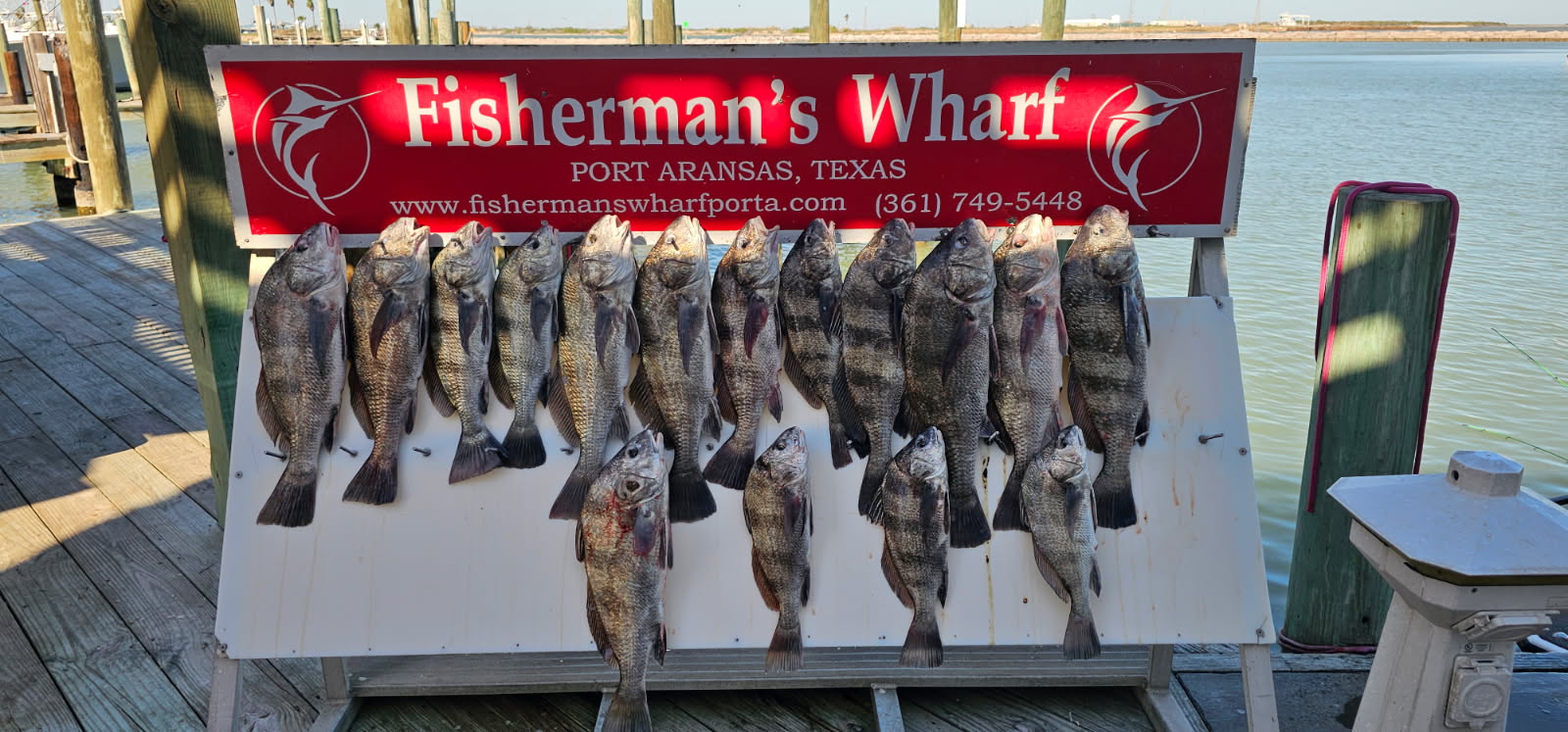 Fishing in Port Aransas, Texas