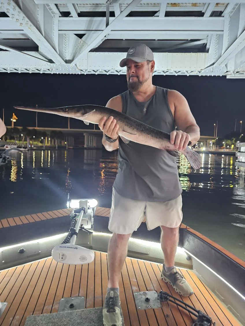 Fishing in Tampa, Florida
