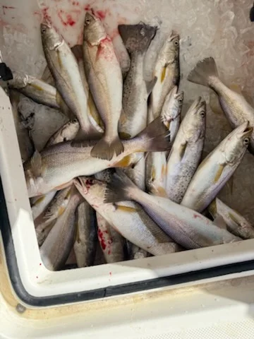 Fishing in Gulf Shores, Alabama
