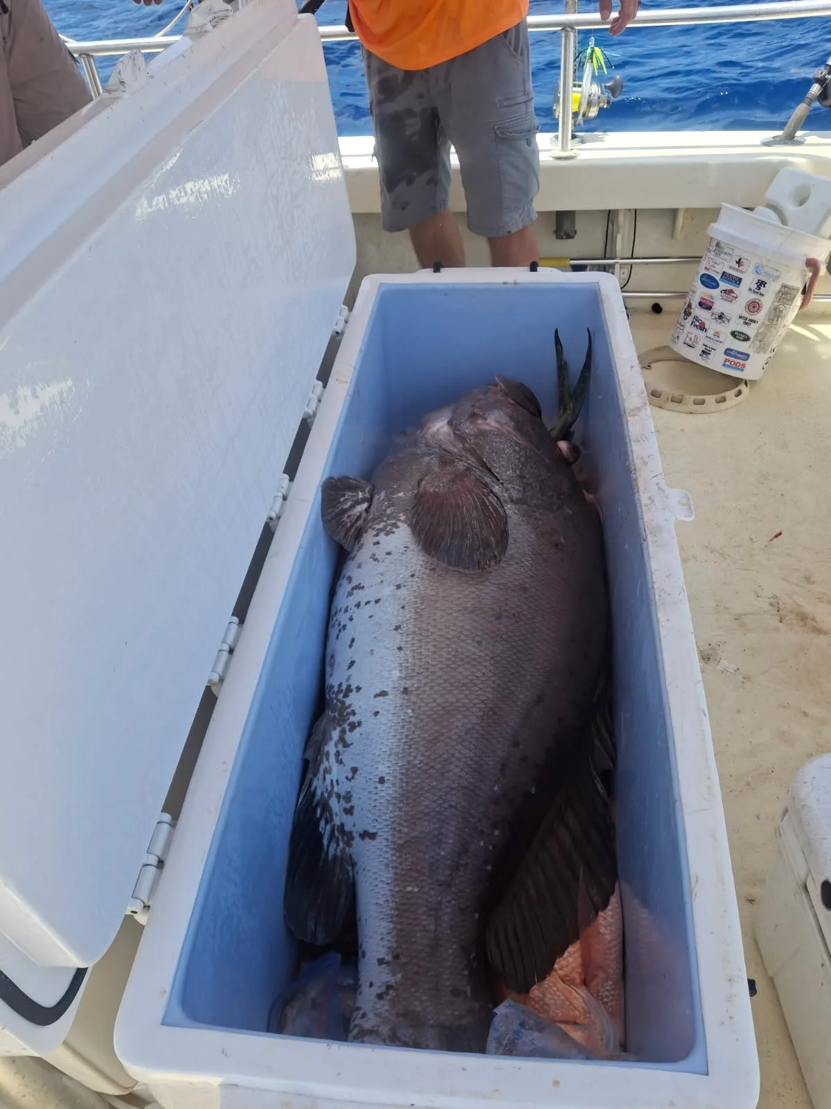 Fishing in South Padre Island, Texas