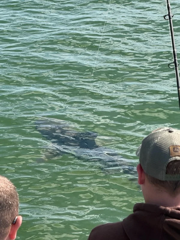 Fishing in Ruskin, Florida