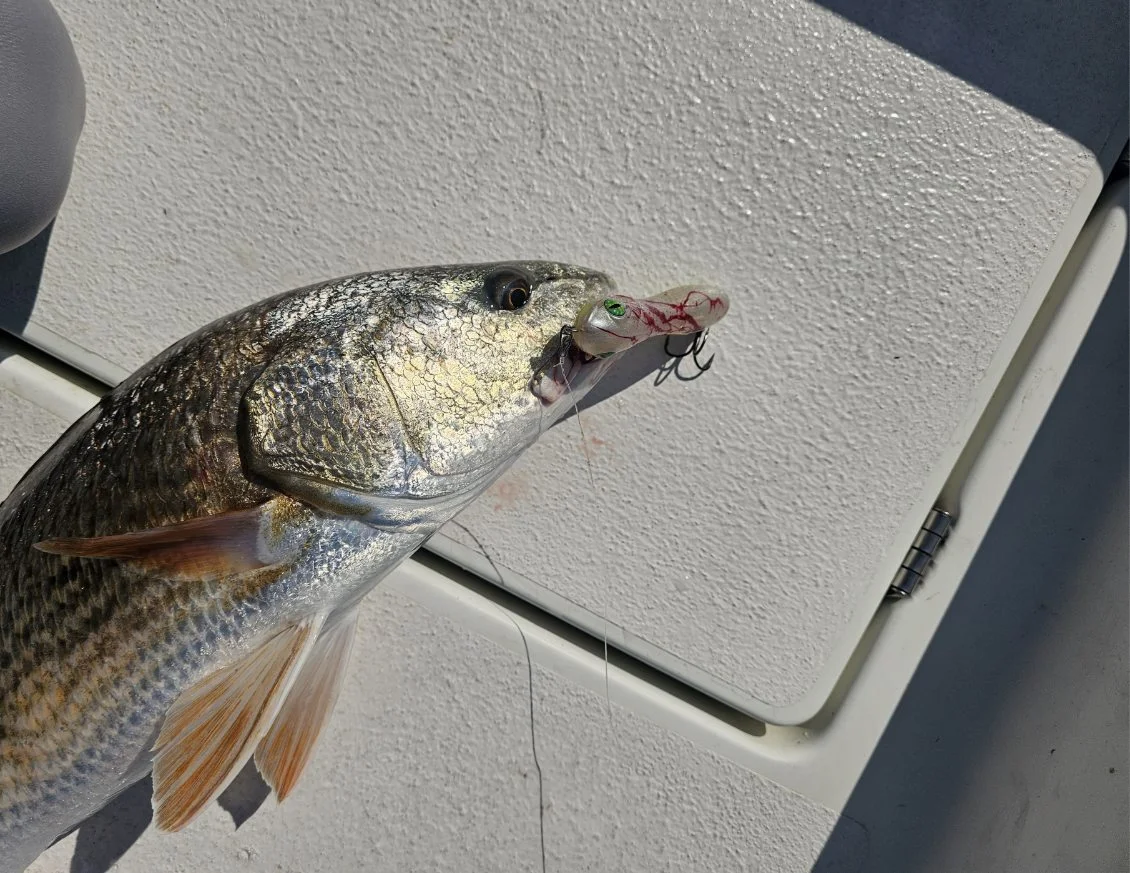 Fishing in Hampstead, North Carolina