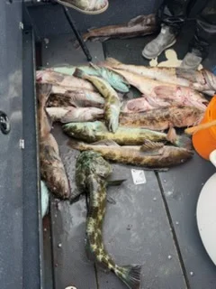 Fishing in Berkeley, California