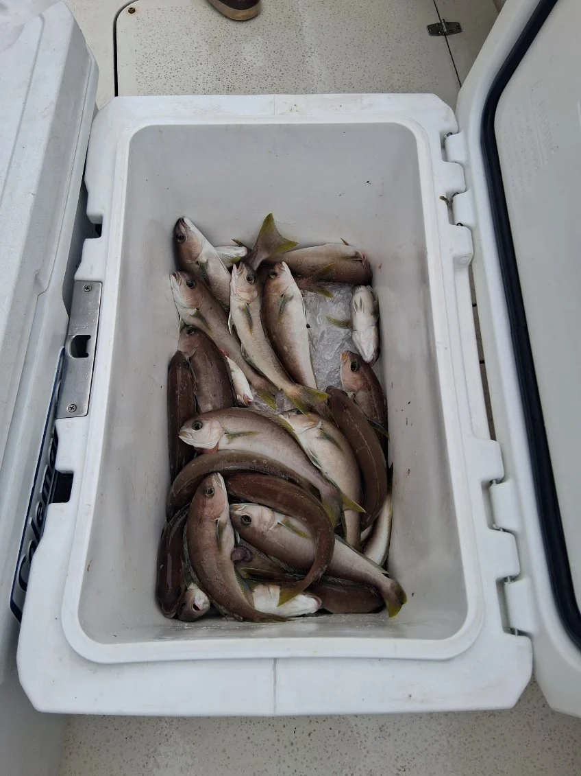 Fishing in Dana Point, California
