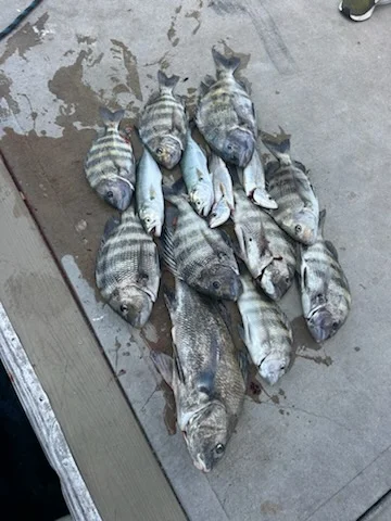 Fishing in Port Orange, Florida
