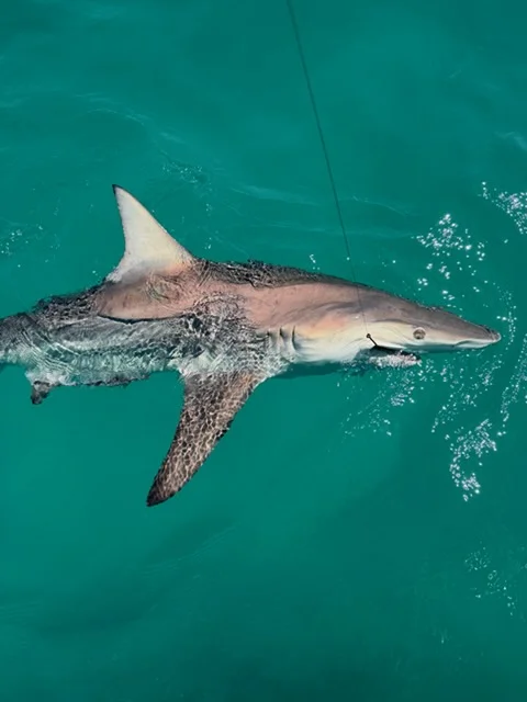 Fishing in Destin, Florida