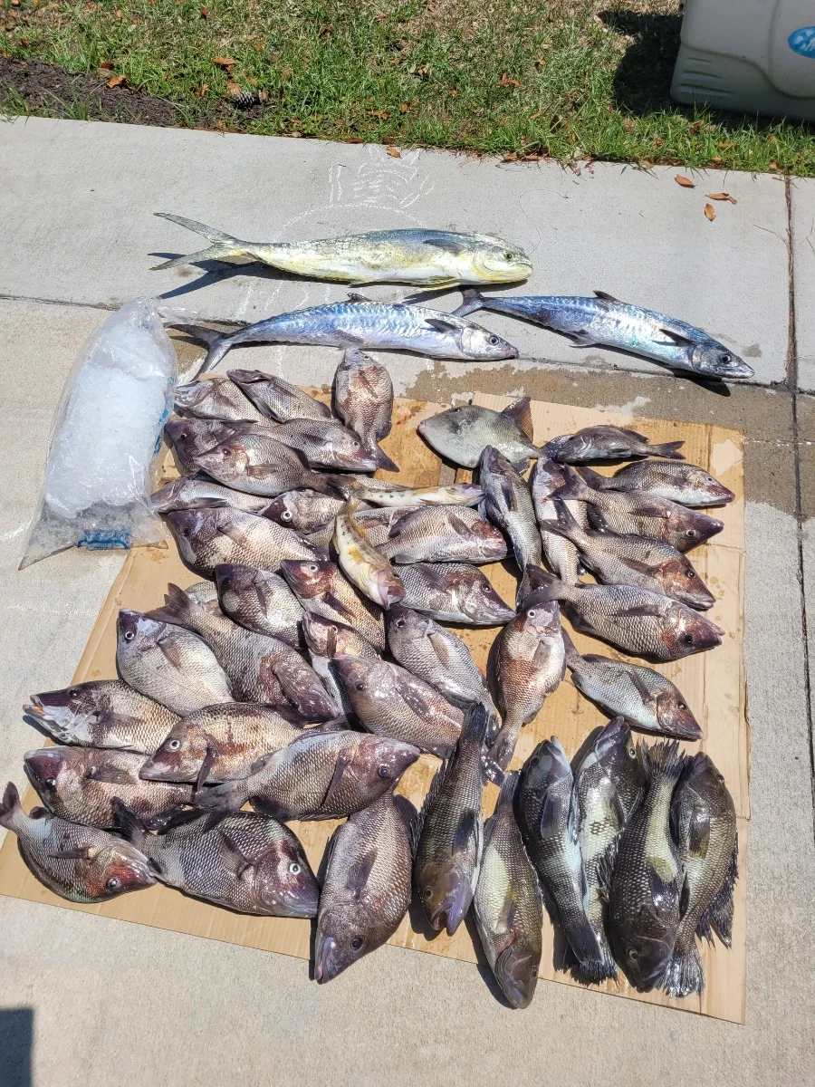 Fishing in Wrightsville Beach, North Carolina
