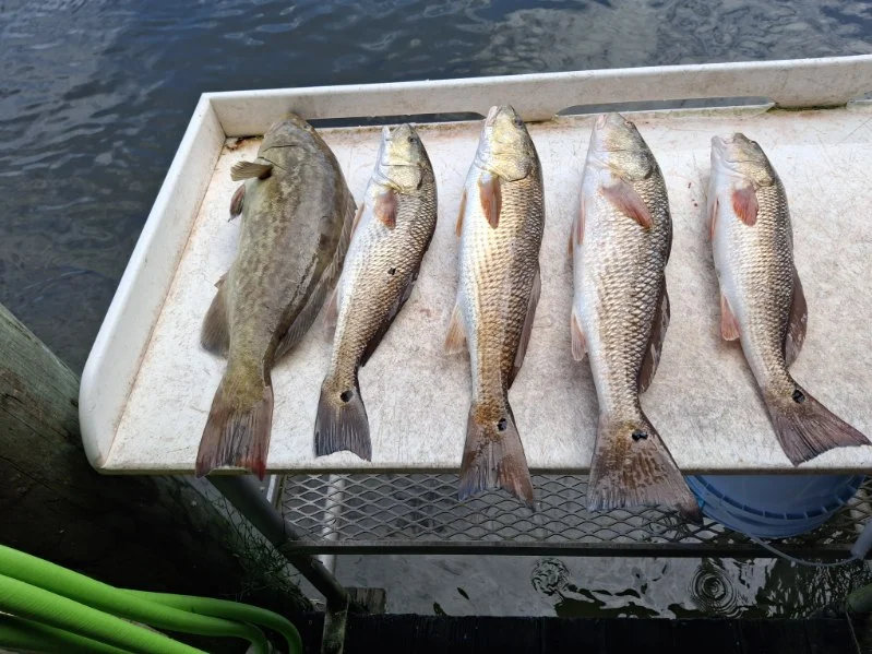 Fishing in Crystal River, Florida