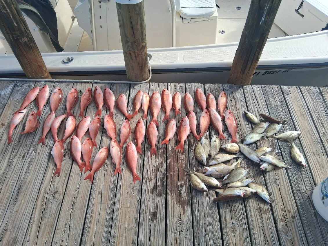 Fishing in Pensacola, Florida