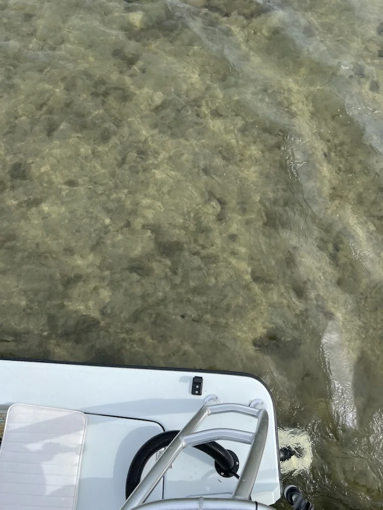 Fishing in Winter Springs, Florida