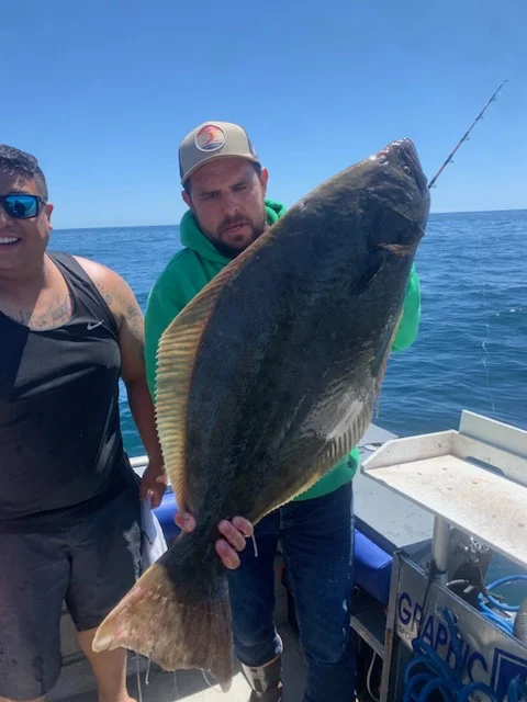 Halibut, Rockfish Fishing in Oxnard, California