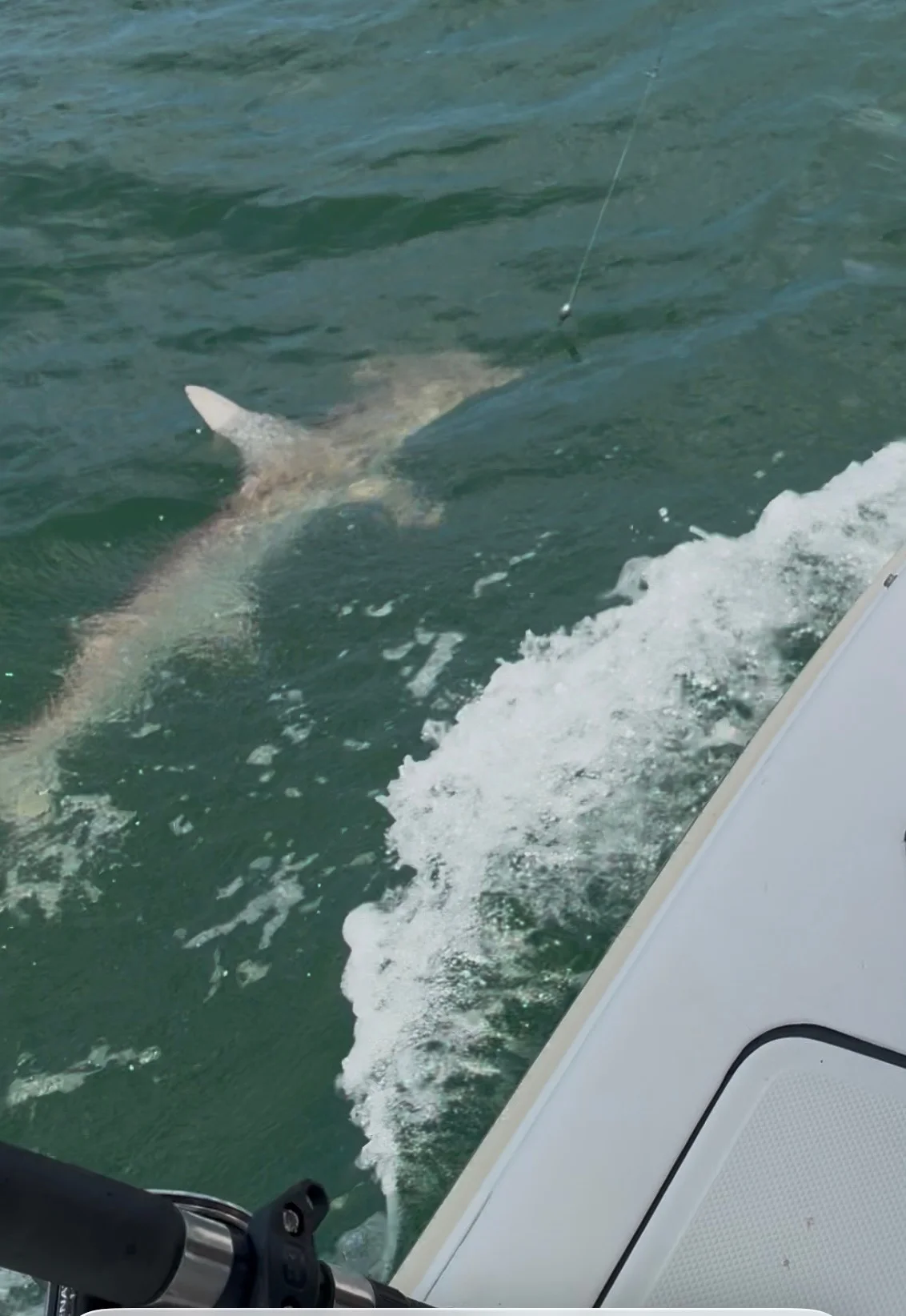 Fishing in Tampa, Florida
