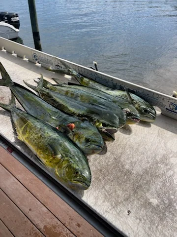 Fishing in Jupiter, Florida