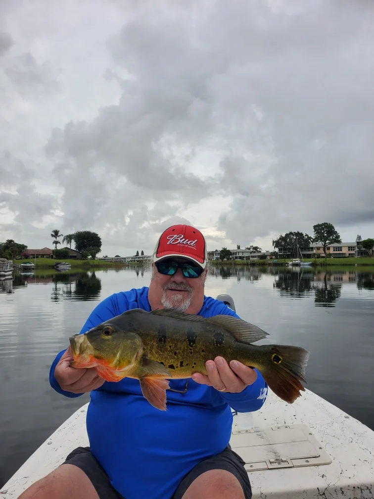 Peacock Bass fishing in Delray Beach, Florida