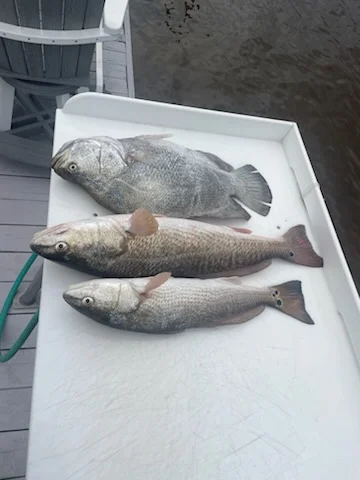 Fishing in Loxahatchee Groves, Florida