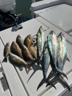 Fishing in Islamorada, Florida