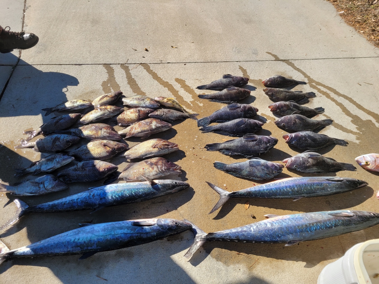 Fishing in Wrightsville Beach, North Carolina