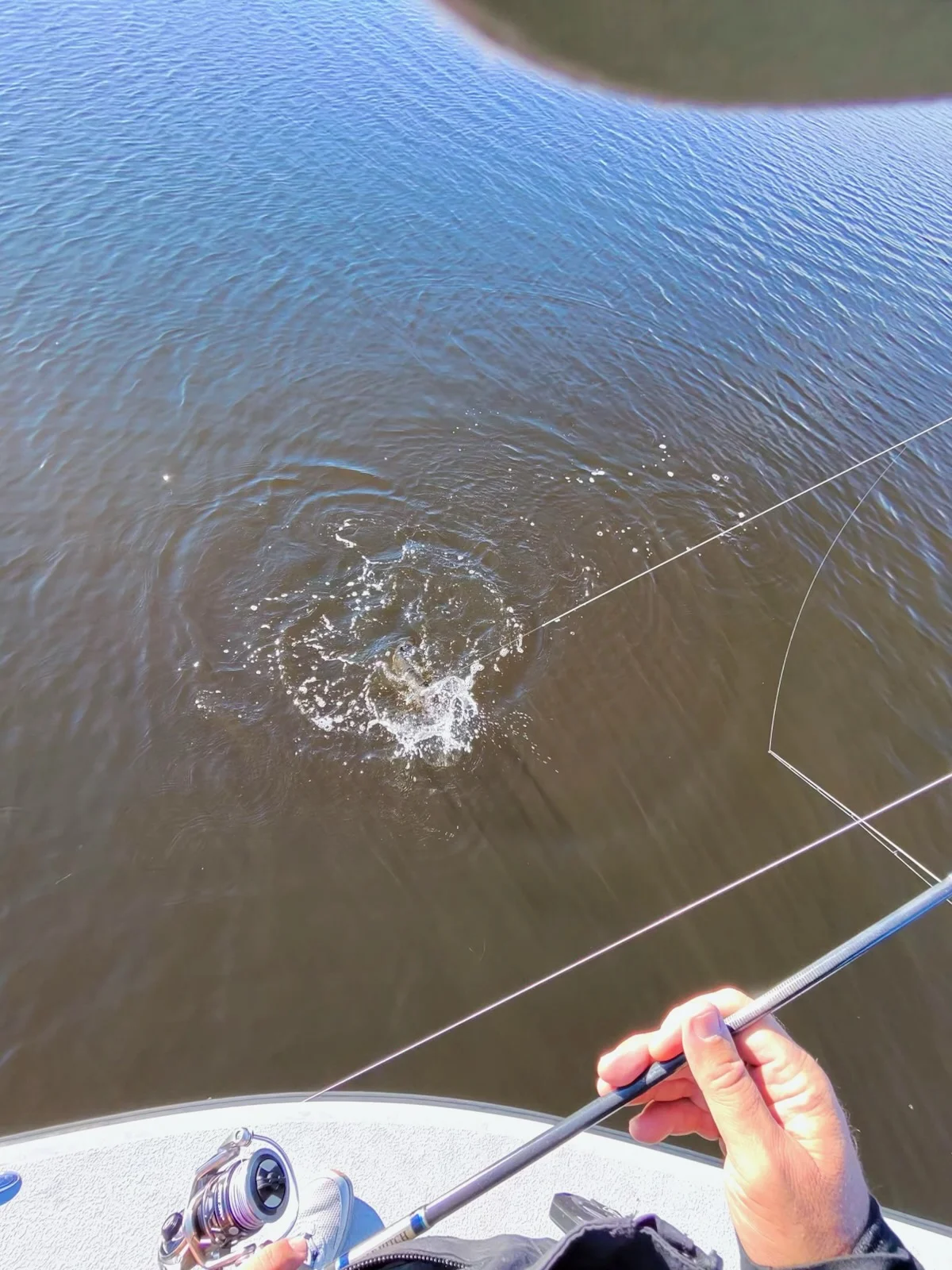 Fishing in Panama City Beach, Florida