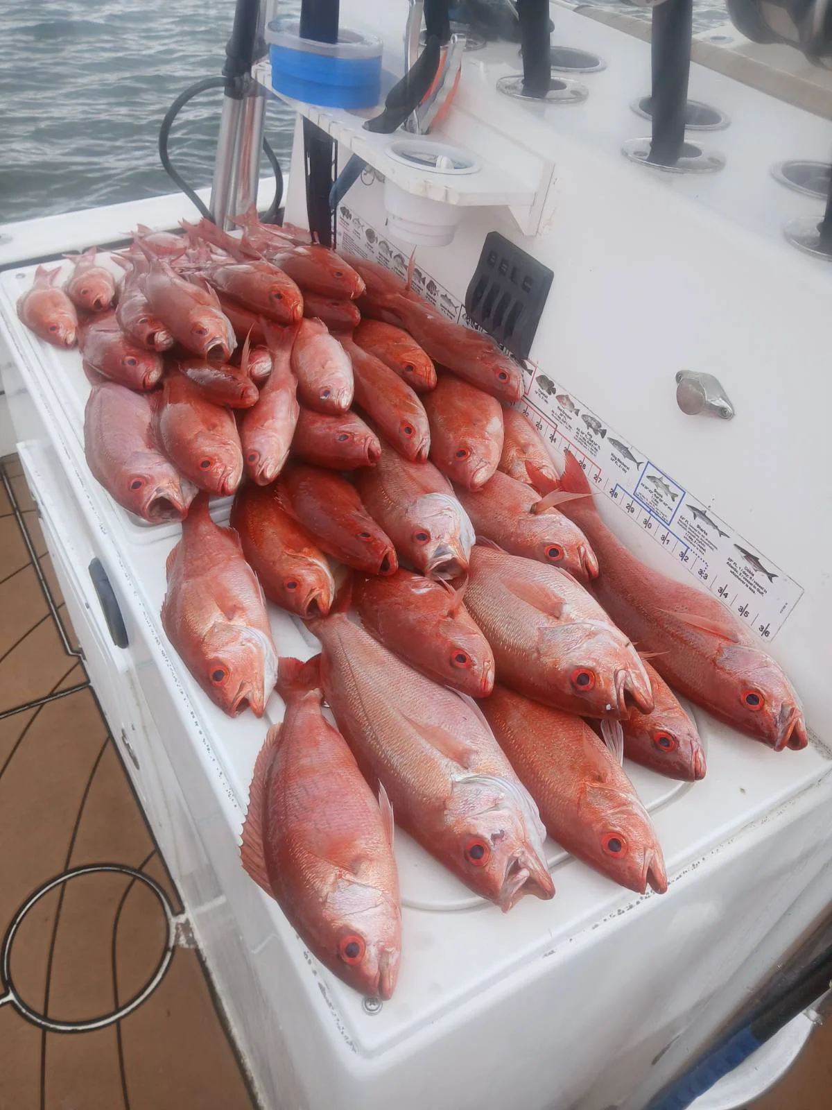 Fishing in Gulf Breeze, Florida