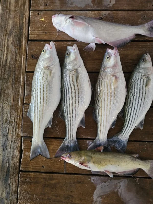 Fishing in Kingston, Oklahoma
