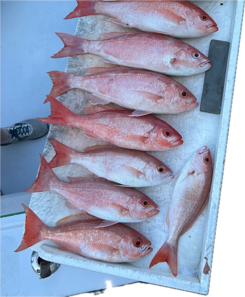 Fishing in Fort Lauderdale, Florida