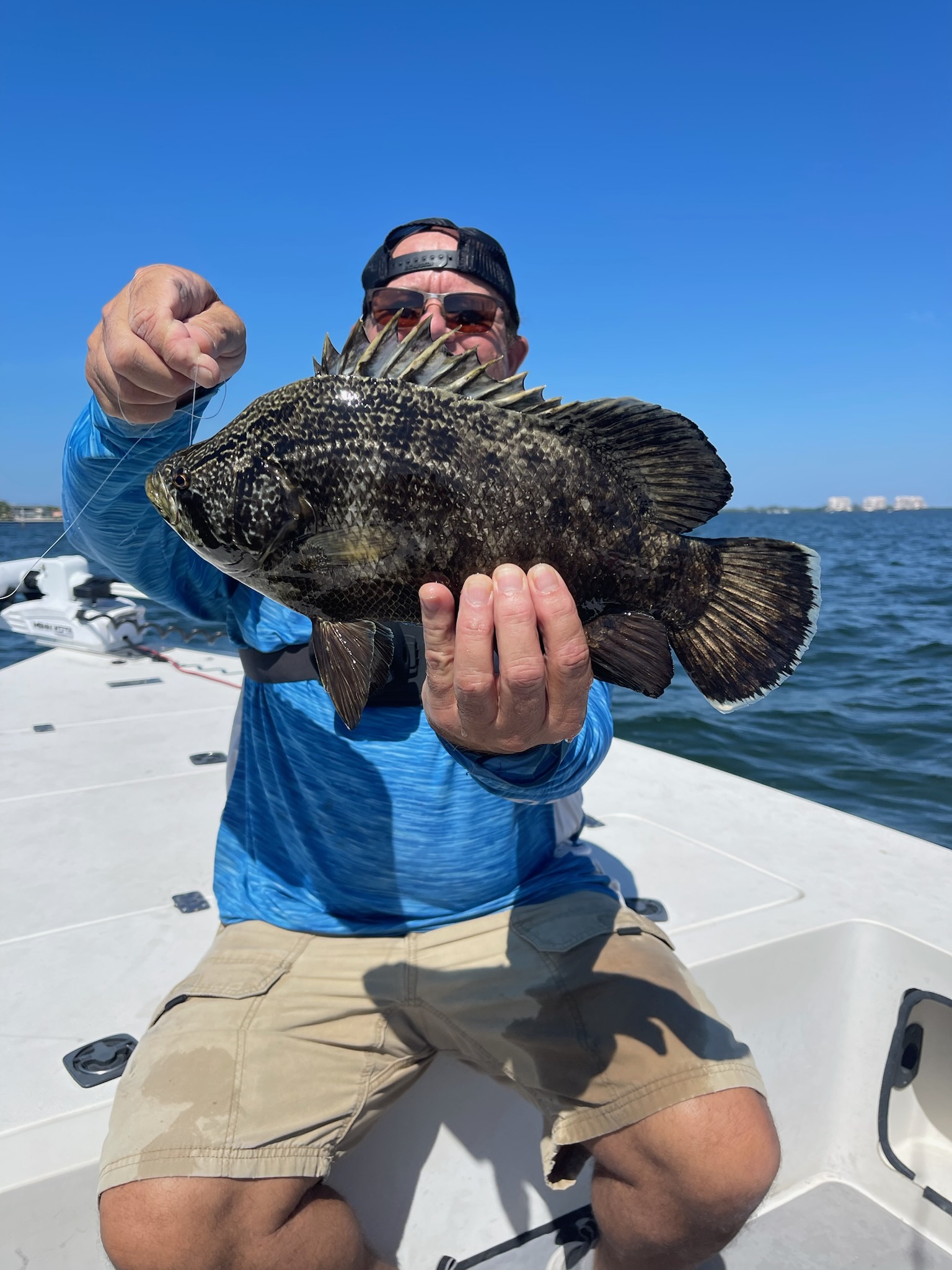 Tripletail Fishing in Sarasota, Florida