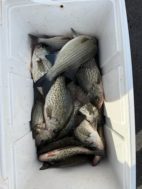 Fishing in Salisbury, North Carolina
