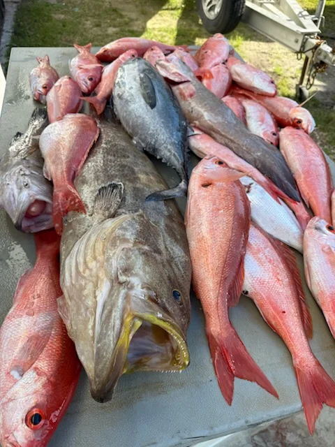 Fishing in Gulf Shores, Alabama