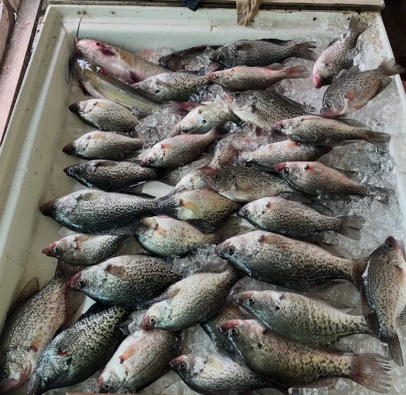 Fishing in Willis, Texas