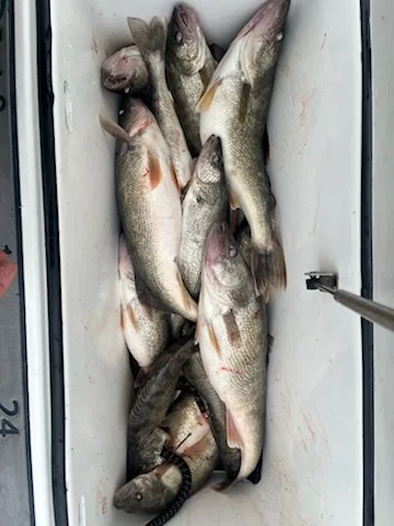 Fishing in Oak Harbor, Ohio