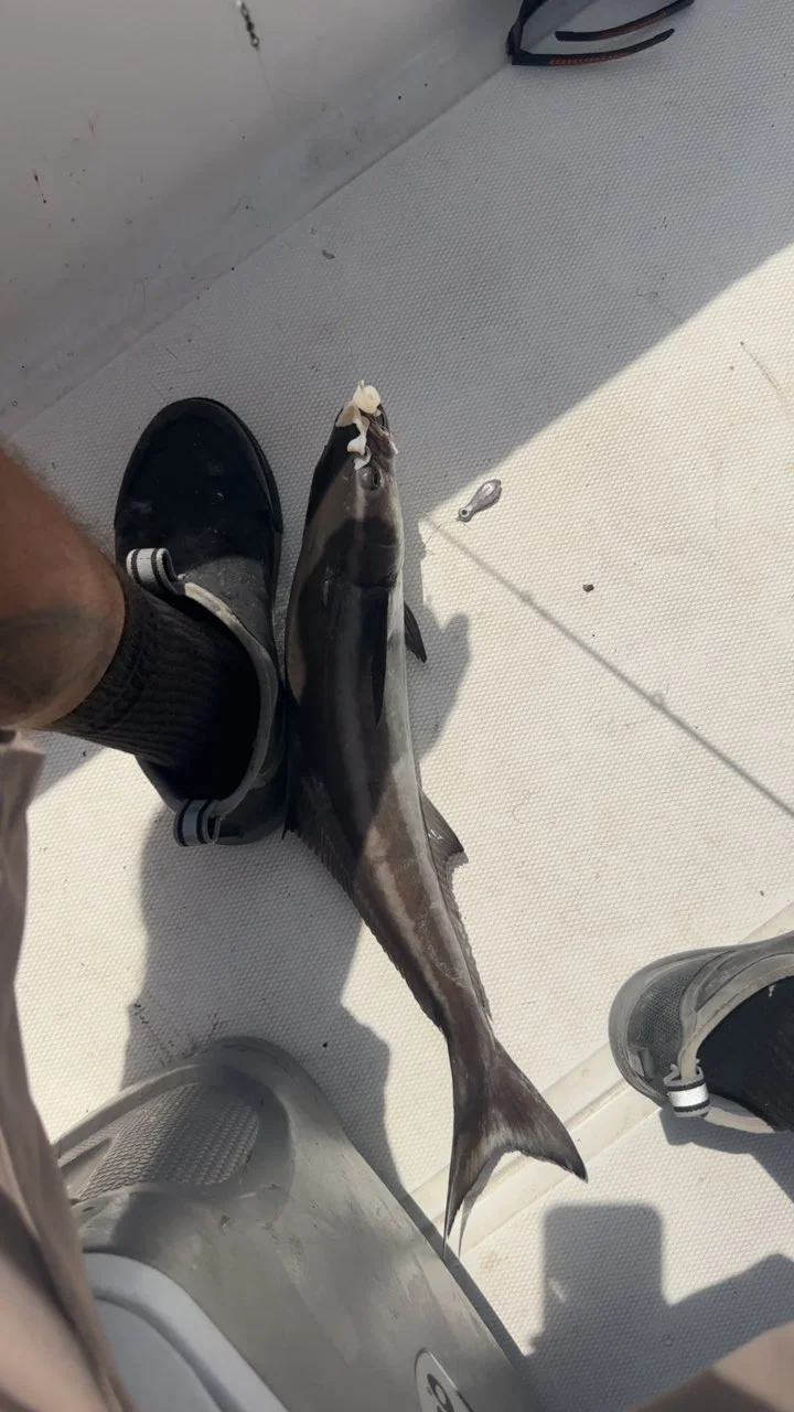 Fishing in Galveston, Texas
