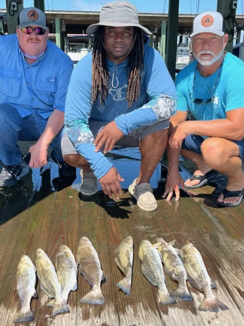 Sheepshead Fishing in Galveston, Texas