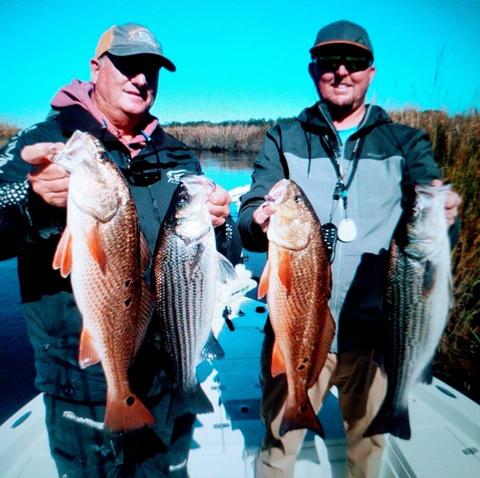 Striped Bass Fishing in Jacksonville, Florida