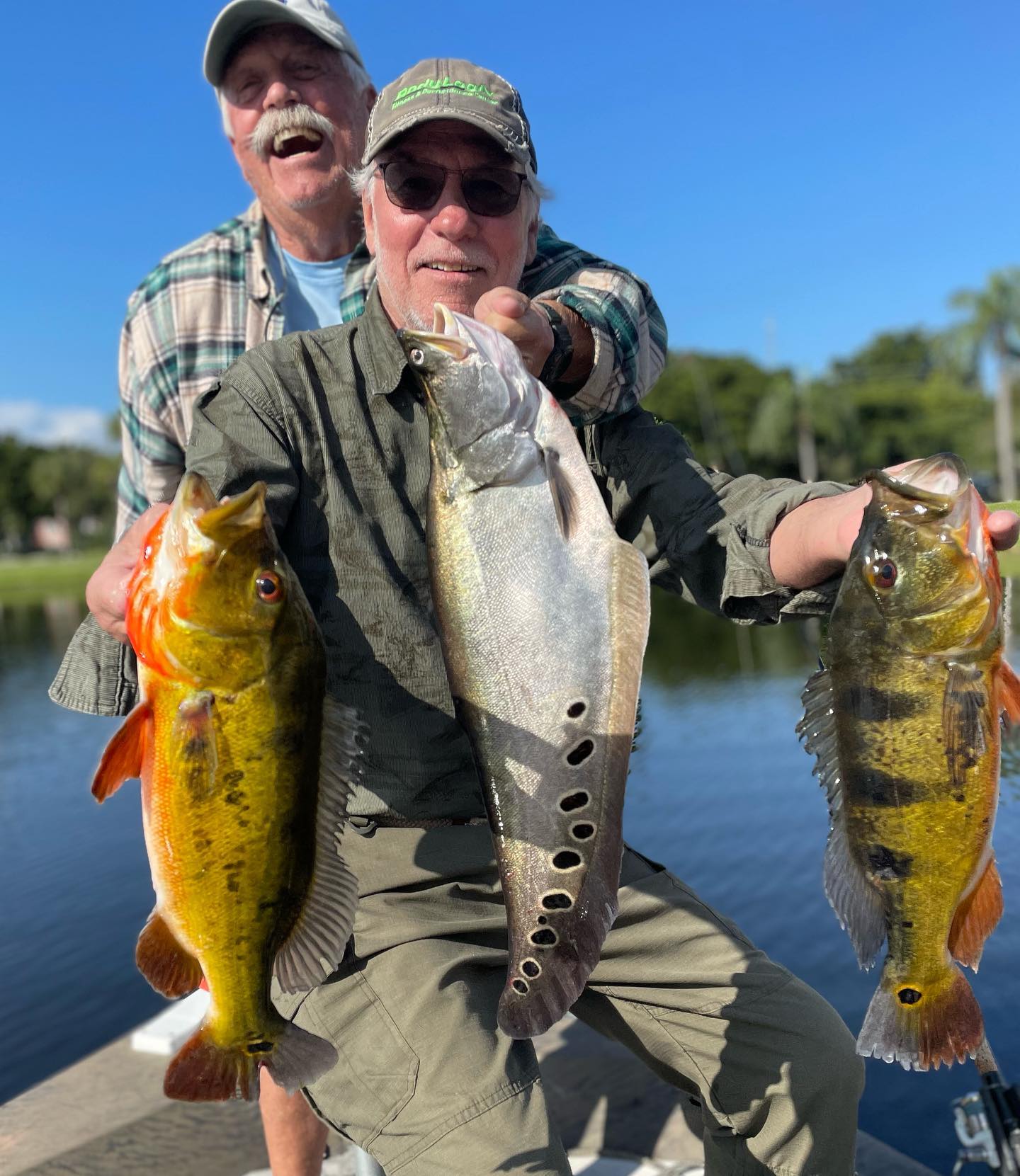 Clown Knifefish Fishing in Delray Beach, Florida