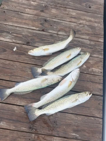 Fishing in Corpus Christi, Texas