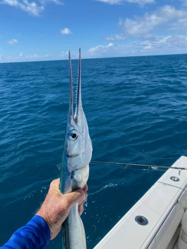 Fishing in Key West, Florida