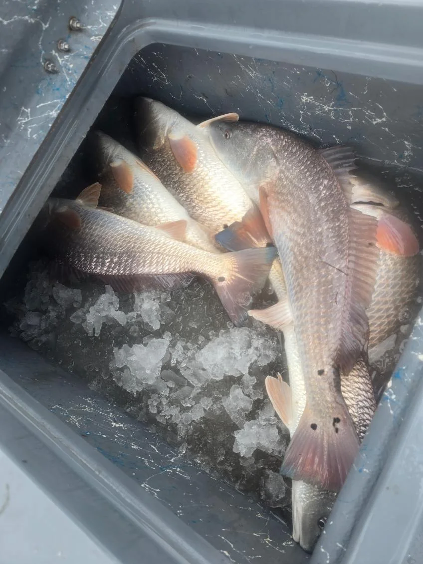 Fishing in Aransas Pass, Texas