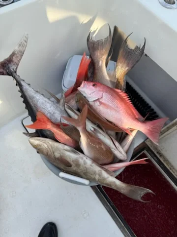 Gag Grouper Fishing in Panama City, Florida