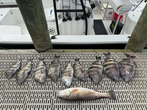 Fishing in Summerdale, Alabama