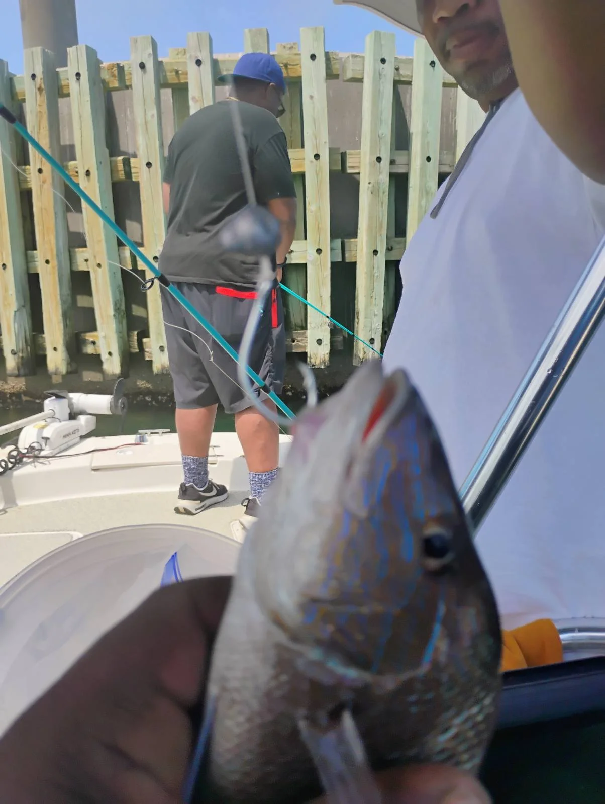 Fishing in Winter Haven, Florida