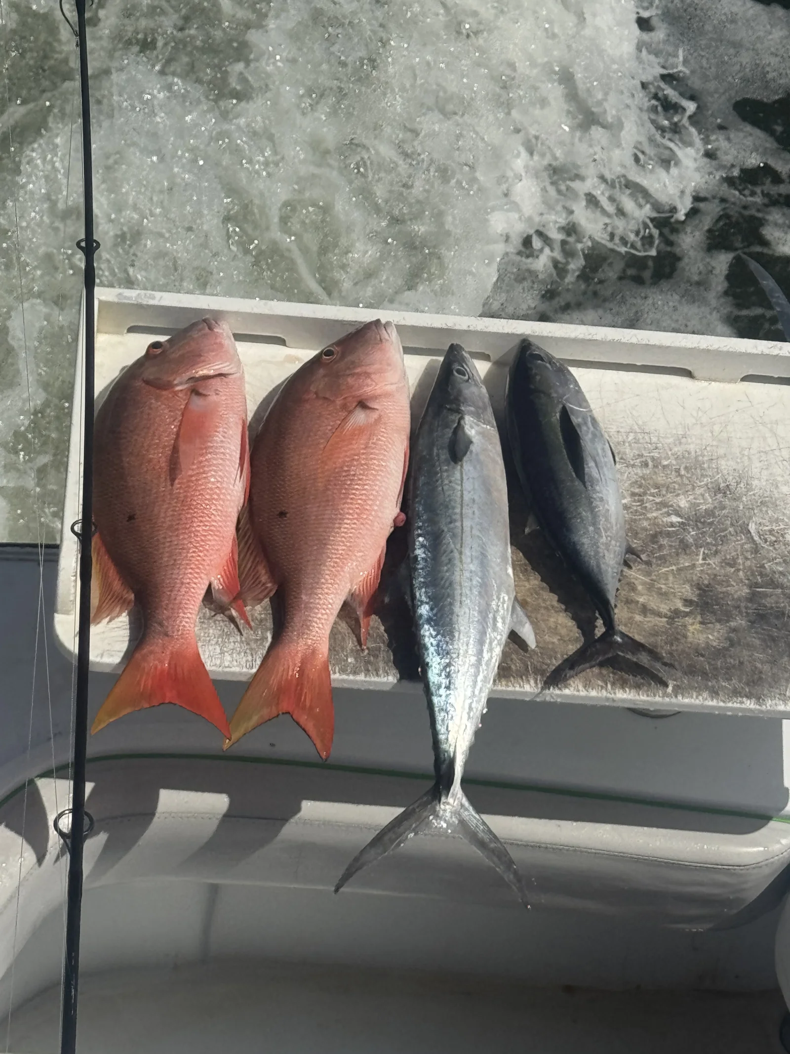 Fishing in Fort Lauderdale, Florida