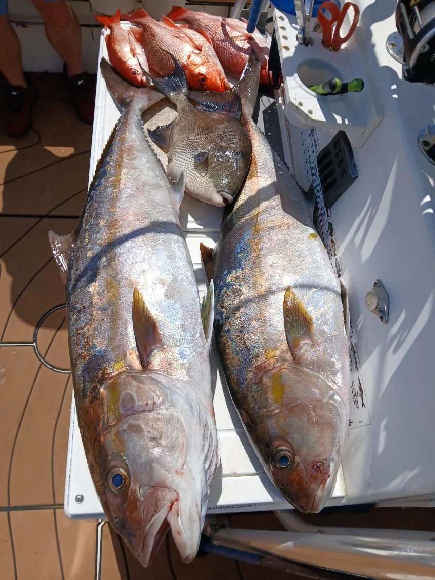Fishing in Gulf Breeze, Florida