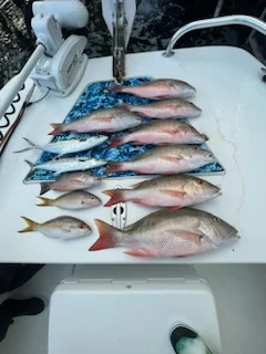 Fishing in Tavernier, Florida