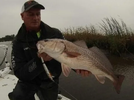 Striped Bass Fishing in Jacksonville, Florida