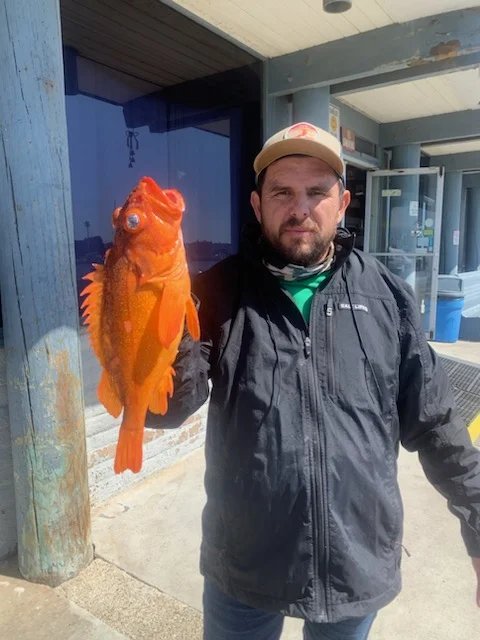 Halibut, Rockfish Fishing in Oxnard, California