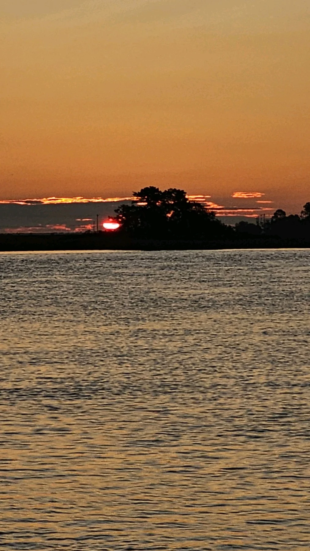 Fishing in Folly Beach, South Carolina