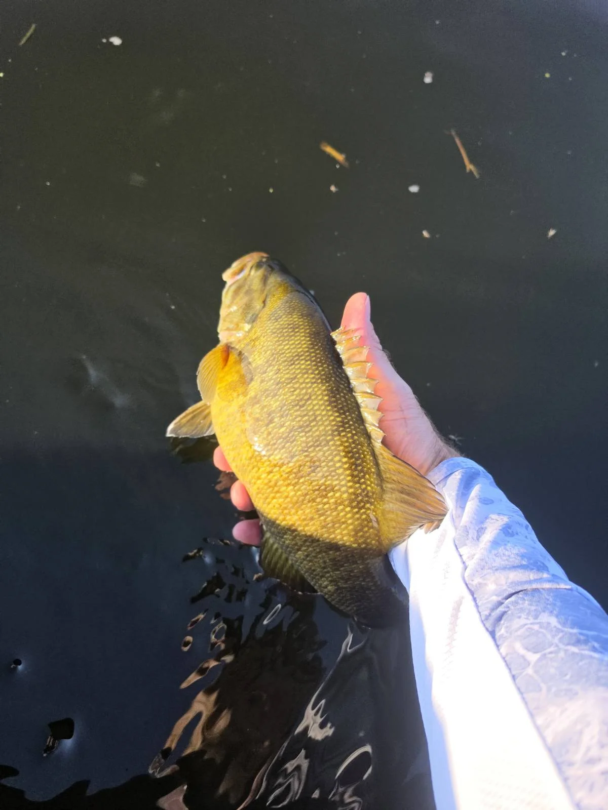 Fishing in Brainerd, Minnesota
