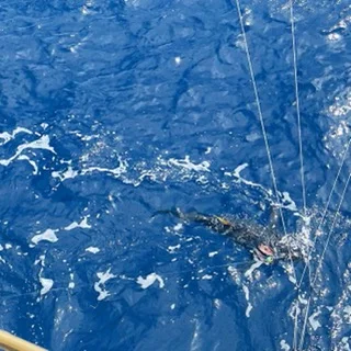 Fishing in San Juan, Puerto Rico